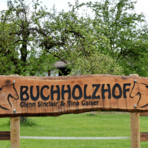 Der Buchholzhof - die idyllische Pferdepension auf dem Bodanrück