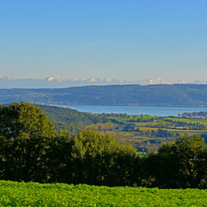 Der Buchholzhof - die idyllische Pferdepension auf dem Bodanrück