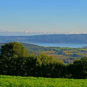 Impressionen vom Buchholzhof